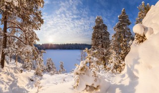 Карельский лес зимой