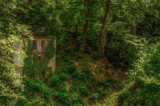 Руины в лесу