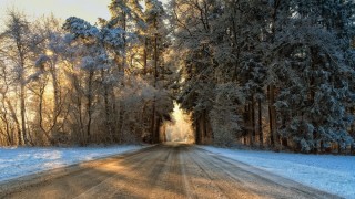Снежная дорога в лесу