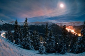 Ночной лес зимой