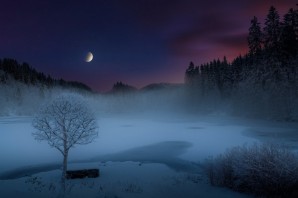 Зима ночь лес Луна