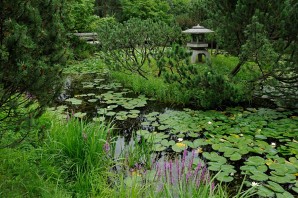 Ботанический сад Санкт Петербург