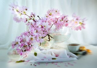 Открытки с добрым утром весенние