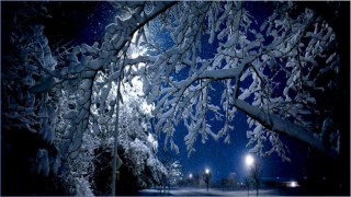 Зимняя ночь