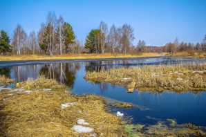 Плещеев Весна