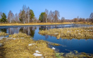 Плещеев Весна