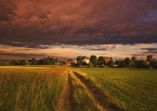 Утро в деревне летом