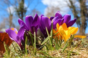 Сейчас Весна