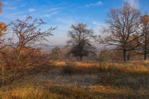 Поздняя осень