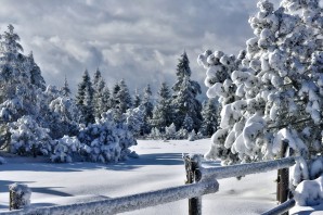 Красивая зима