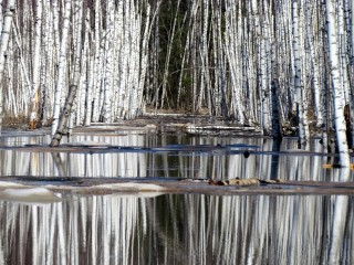 Весенний паводок