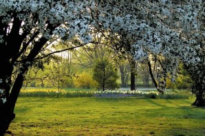 Поздняя Весна