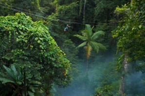 Джунгли амазонки