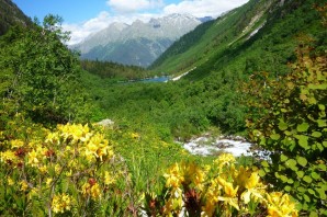 Домбай Весна