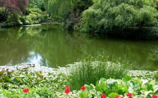 Пресные водоемы