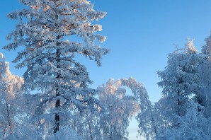 Зима в Якутии
