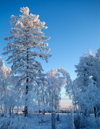 Зима в Якутии