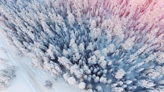 Разноцветный снег