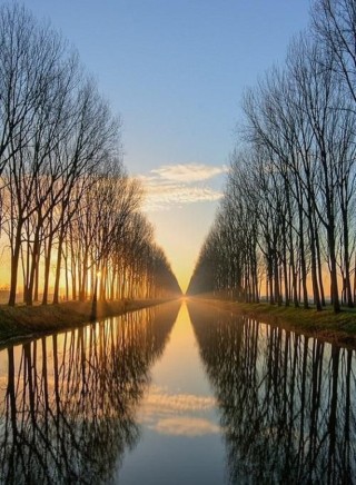 Зеркальная симметрия в природе