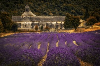 Прованс осенью