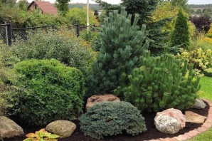 Клумбы с хвойниками и кустарниками