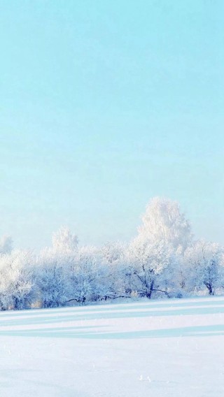 Зимний фон вертикальный