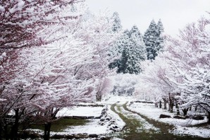 Снег в Японии
