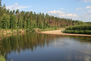 Река Кокшага