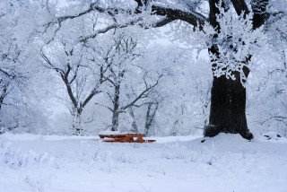 Холодная зима