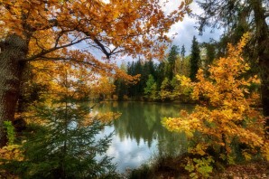 Красота осени