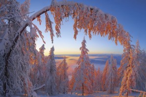 Зимняя красота