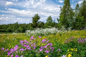 Лето в России