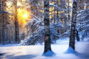 Зимний пейзаж для детей