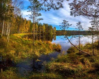 Природа Ленинградской области
