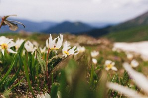 Красная Поляна весной