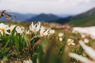 Красная Поляна весной