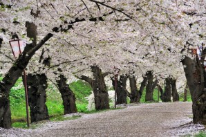 Весне дорогу