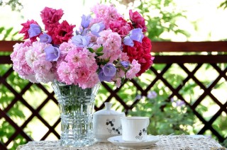 Доброе утро цветок садовый