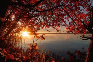 Солнце озеро осень
