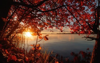 Солнце озеро осень