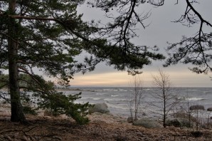 Финский залив Сосновый Бор