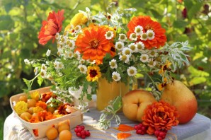 Цветы и фрукты
