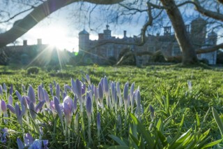 Приход весны