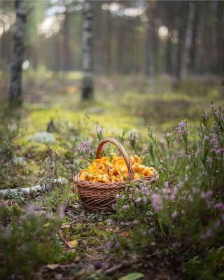 Осенняя корзинка