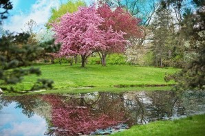 Весенний парк