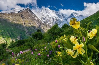 Приэльбрусье весной