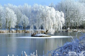 В окно повеяло весною