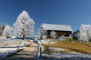 Весна в деревне