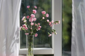 Весна за окном