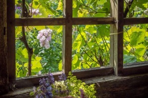 Лето за окном